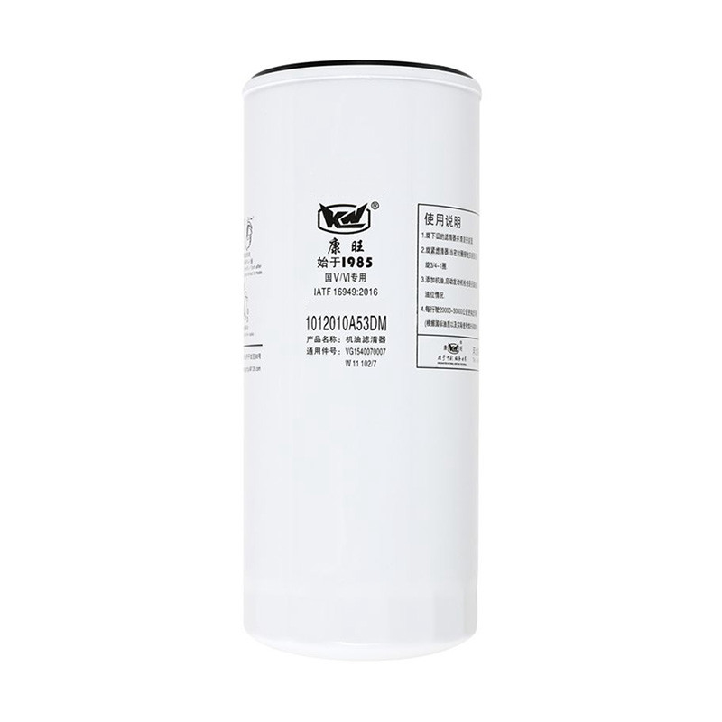 1012010A53DM Oorsprong Semi-truck brandstoffiltercartridge voor zware voertuigen