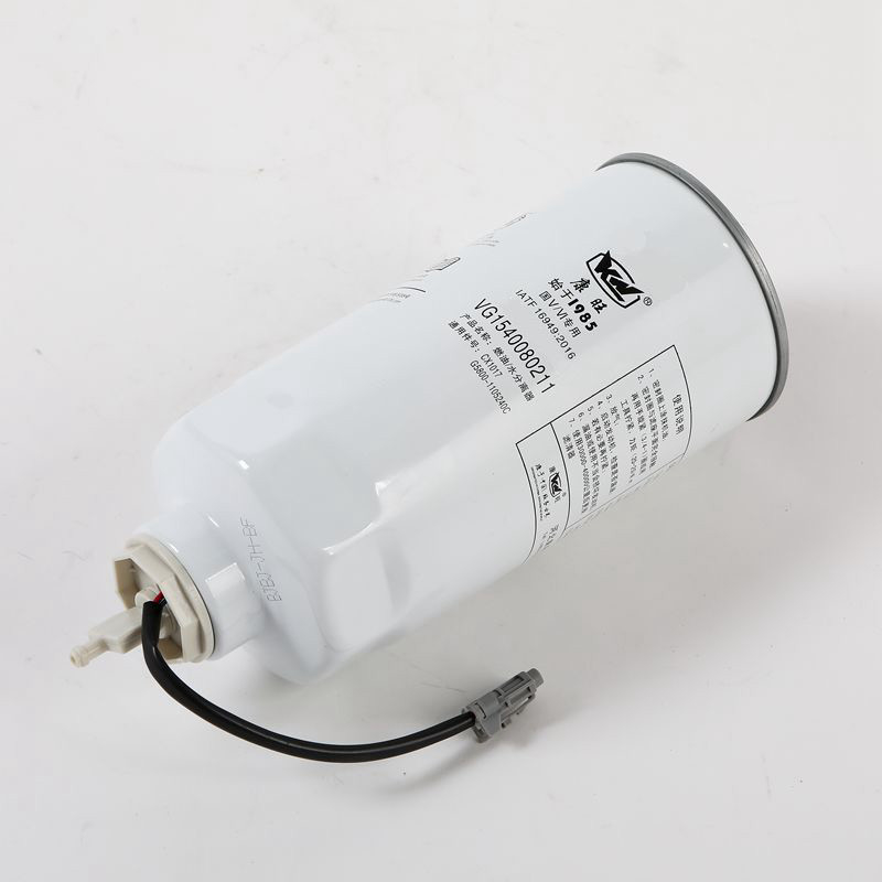 VG1540080211 Dieseloliefilter met grote capaciteit voor alternatieve brandstofmotoren