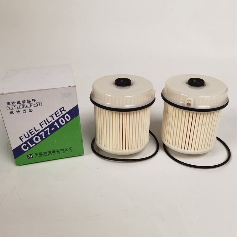 ISO9001 de Filter van de certificatievrachtwagenbrandstof 1117030-P301 CLQ77-100