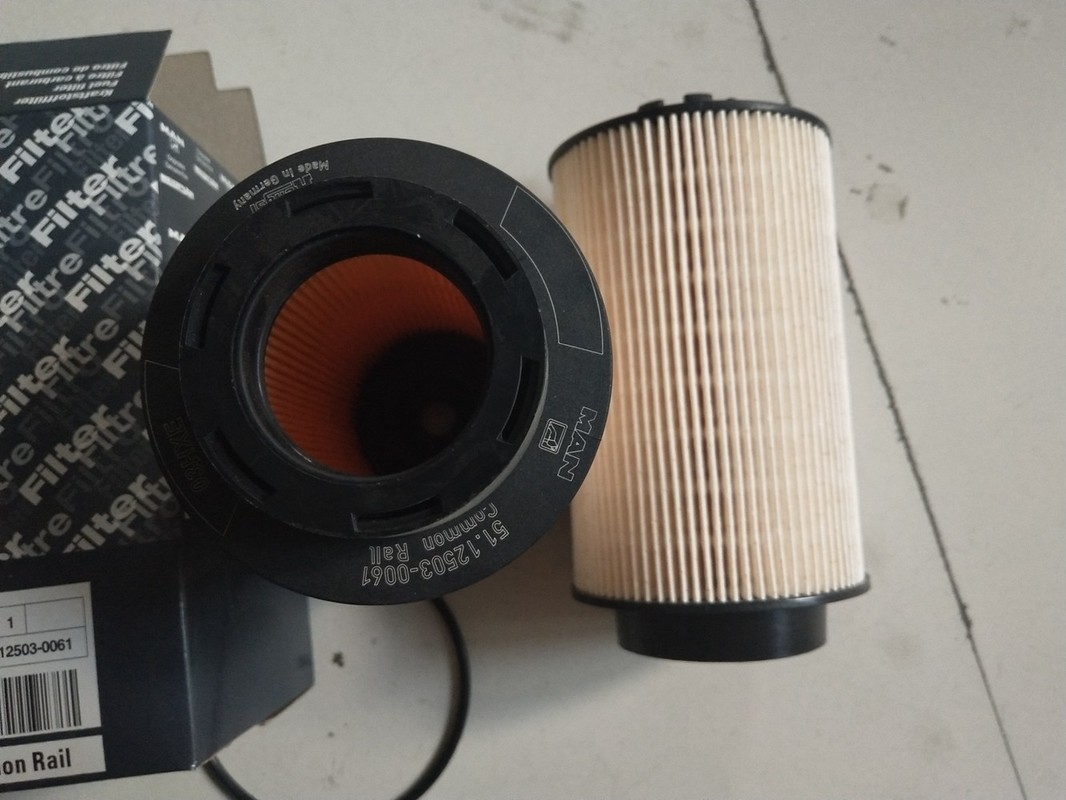 1kg van de diesel Filter Vrachtwagenbrandstof 12503-0061 met 15×15×28cm Grootte