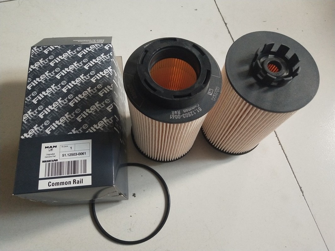 1kg van de diesel Filter Vrachtwagenbrandstof 12503-0061 met 15×15×28cm Grootte