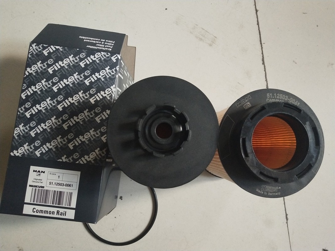 1kg van de diesel Filter Vrachtwagenbrandstof 12503-0061 met 15×15×28cm Grootte