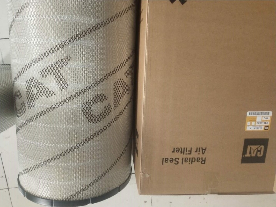 246 5010 246 5009 Filters van de Vrachtwagenlucht voor het certificaat van CAT Generator ISO