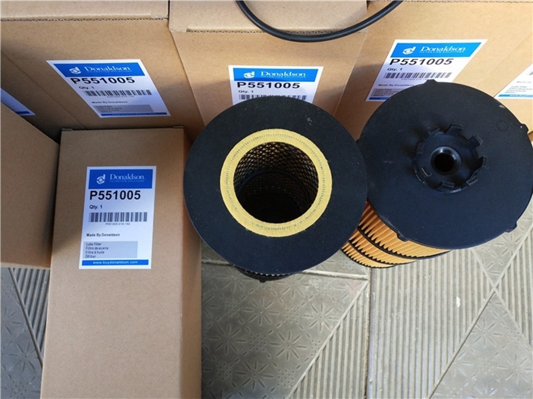 200μM Lube Oil Filter Patroon, Hydraulische de Oliefilters van P551005 Donaldson
