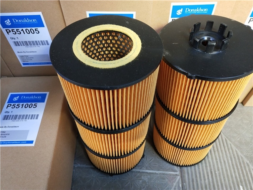 200μM Lube Oil Filter Patroon, Hydraulische de Oliefilters van P551005 Donaldson